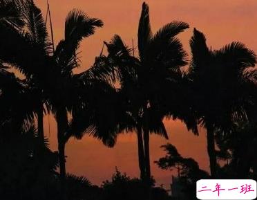 微信伤感说说痛到心碎 沮丧颓废的句子合集2