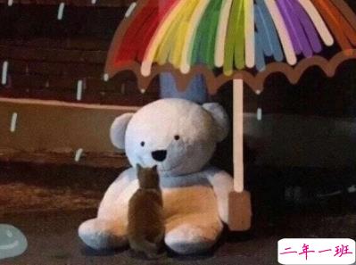 极度难过的说说撑不下去了 表示心累心塞的句子2