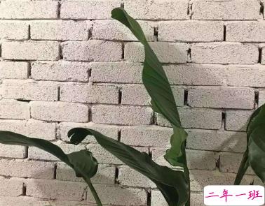 自己心累难受的说说 日后你所有的好坏都与我无关2