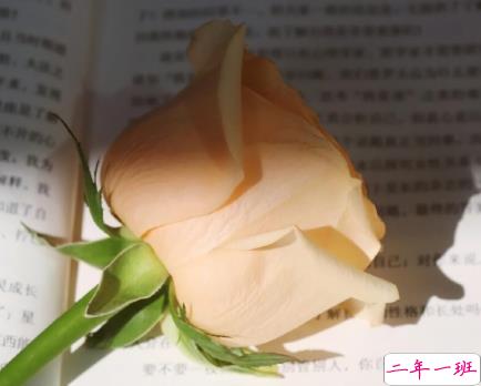 好天气好心情外出郊游的心情说说 适合心情很好的正能量文案1