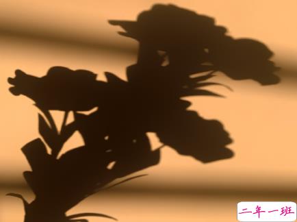 2021朋友圈很丧很绝望的温柔文案 所有的情绪我一样也没躲过2