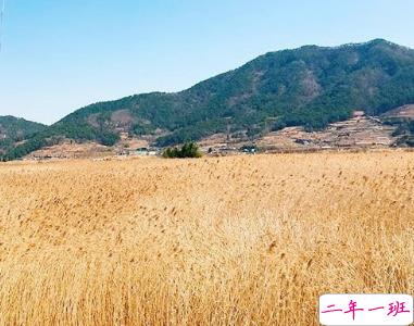 心情很差不想说话的说说 不心烦意乱不想说话说说精选2