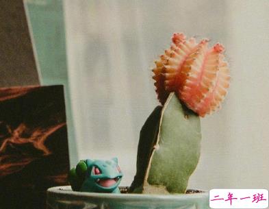 女人高冷又随性的句子善待自己 时间抵挡不过我们的善变2