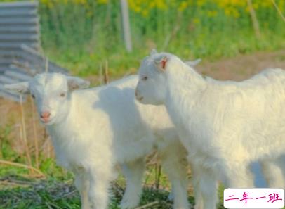 放在心头的个性心情说话 心一旦离开就再不会回来1