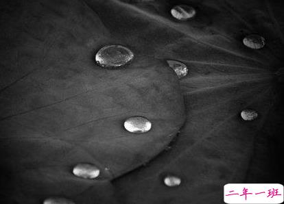 心疼自己一秒钟的说说 扎心了受伤了的说说1