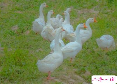 放在心头的个性心情说话 心一旦离开就再不会回来2