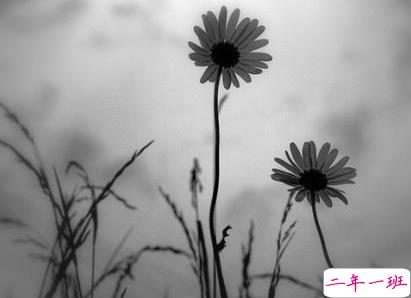 心疼自己一秒钟的说说 扎心了受伤了的说说2