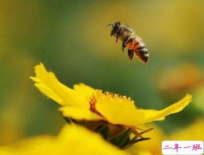 2020处暑节气说说精选 处暑节气关心问候祝福语2