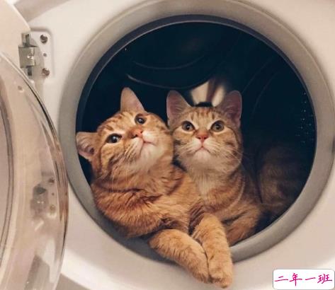 对人际交往的感悟说说 圈子不同不必强融2