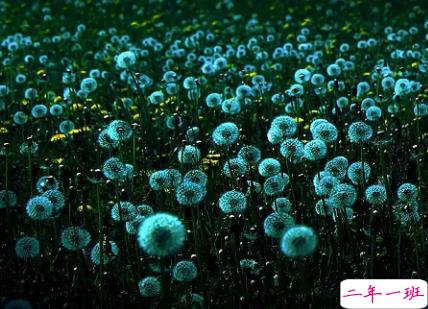 心疼自己的说说真的累了 写给心累的自己说说大全2