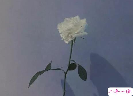 七月最后一天朋友圈说说月未 把时间用在进步上而不是抱怨上2