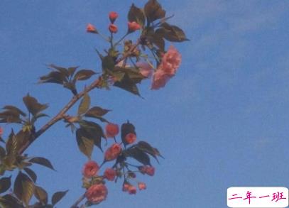 最受欢迎的00后伤感说说大全 qq伤感说说爱情句子2