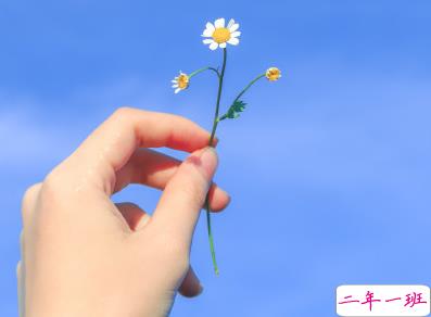 听起来很舒服的早安句子 早安心语简单简短1