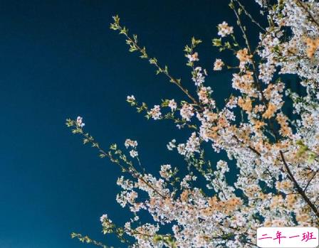 关于爱情很忧伤的心情短语 朋友圈的忧伤难过说说2