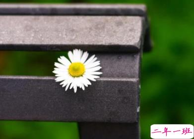 睡不着的伤感晚安说说 晚上容易想太多的伤感句子2