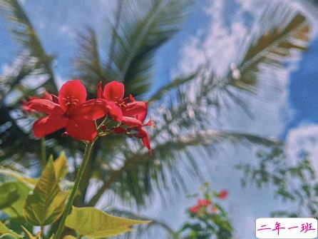 早安正能量简短句子 所谓梦想就是永不停息的疯狂1