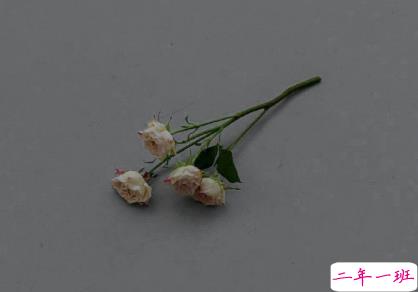 独一无二的朋友圈说说 很少见特别的句子1