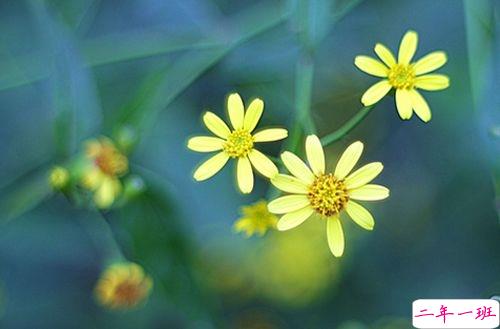 伤感说说大全简短精辟 聚散都不由我1