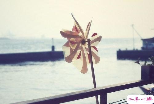 伤感说说大全简短精辟 聚散都不由我2