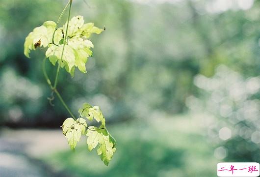 抖音最火扎心语录 2019痛到心碎的句子1