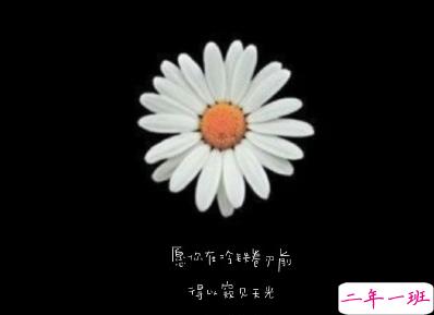 熬夜睡不着文案 深夜失眠搞笑心情句子2