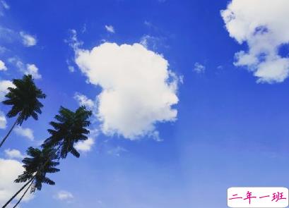 夏天很热的文案 热死人的句子简短有趣1