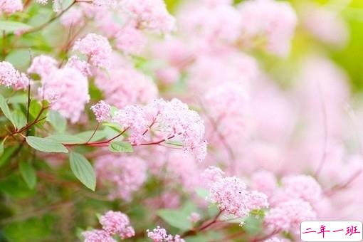 2019戳破人心的伤感说说合集 超扎心的一句话说说2