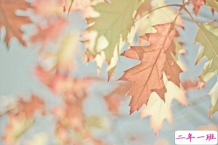 男生伤感说说心好累了 男生发朋友圈的伤感难过句子1