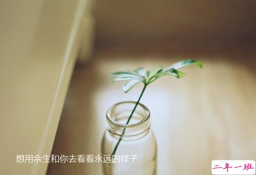 生活中让人感到孤独的小瞬间 一个人感到孤单落寞的说说2