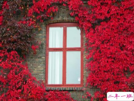 绝望心死在崩溃边缘的说说 一个人心累人也累的说说大全2