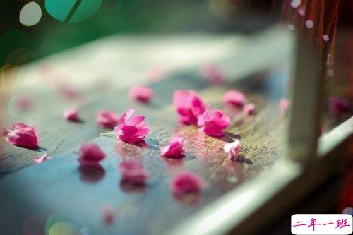 深夜伤心说说心情短语带图片 伤心说说短句子心情不好配图6