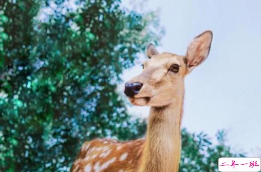 关于爱情很伤感的微信说说心情说说大全1