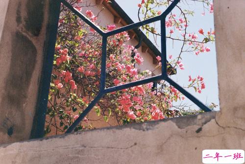 心情有些低落可以发朋友圈的说说 突然觉得心累的伤感说说2