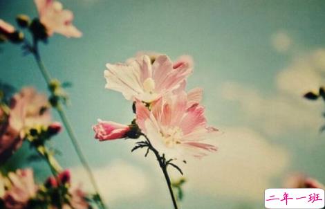 2018伤感句子句句心痛 非主流伤感说说句子大全2