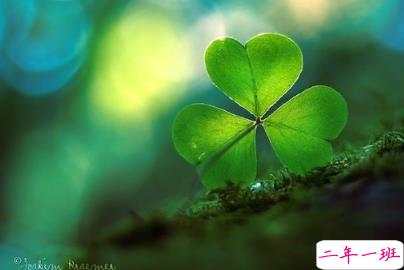 受伤了的心酸说说伤感最新版:人和人出场的顺序很重要2