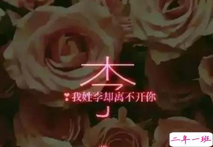 姓氏说说文字控伤感篇:我姓杨却洋溢不出你最爱的微笑1