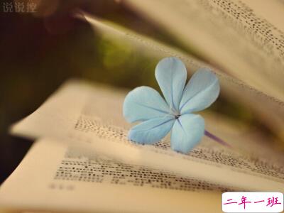 忧伤的句子说说心情 忧伤的句子说说心情