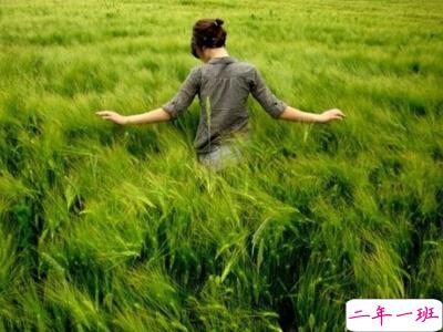 经典伤感句子 经典伤感句子