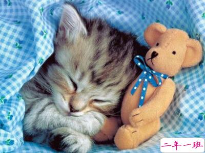 关于单身的伤感说说,QQ单身说说大全 关于单身的伤感说说,QQ单身说说大全