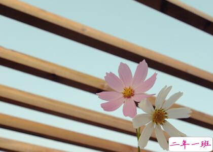 心情很差的说说大全 心情很差的说说大全