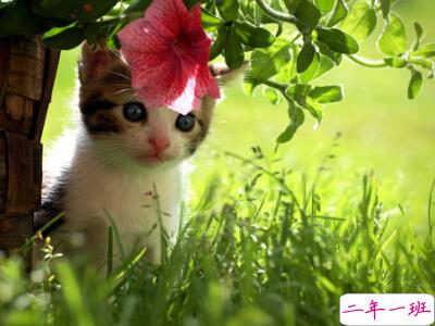 自作多情的说说 自作多情的说说