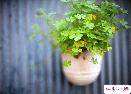 00后伤感说说 00后伤感说说