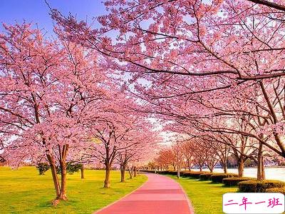 伤感想哭说说:不想看你不开心,却又嫉妒你和别人太开心1