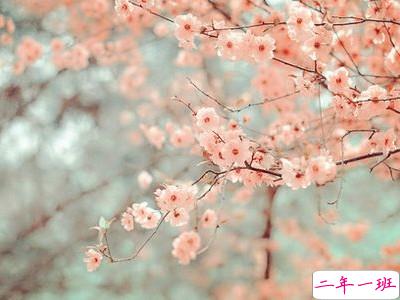 伤感说说带图片1