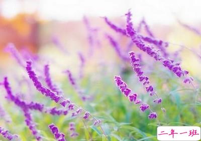 QQ空间说说伤感的:原来,没有哪个人,能够成为你的永远