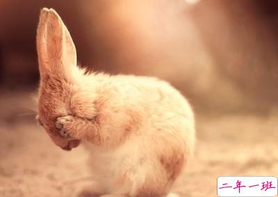 2013伤感心情短语:不要接近我熟悉我心疼我然后离开我