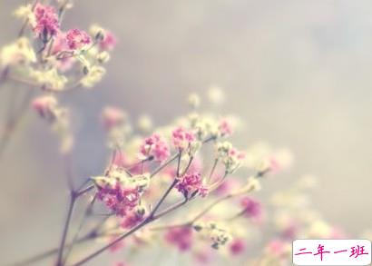 痛心的句子:有多少人喜欢听“你闹够了没有”