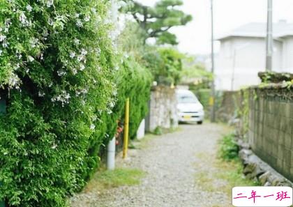 心碎的心情短语:原来,世界上最痛的痛是离开