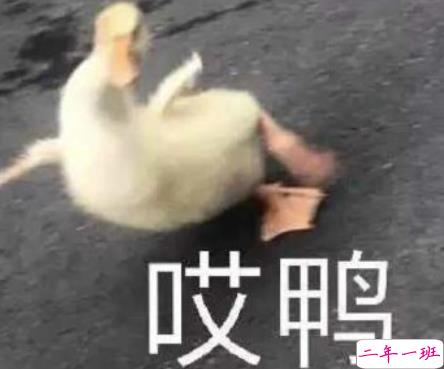 沙雕搞怪的朋友圈自拍文案 2021全新有趣的自拍文案带图片1