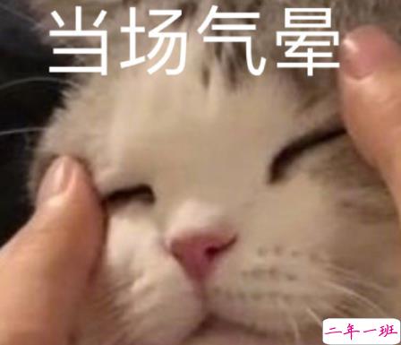 沙雕搞怪的朋友圈自拍文案 2021全新有趣的自拍文案带图片4